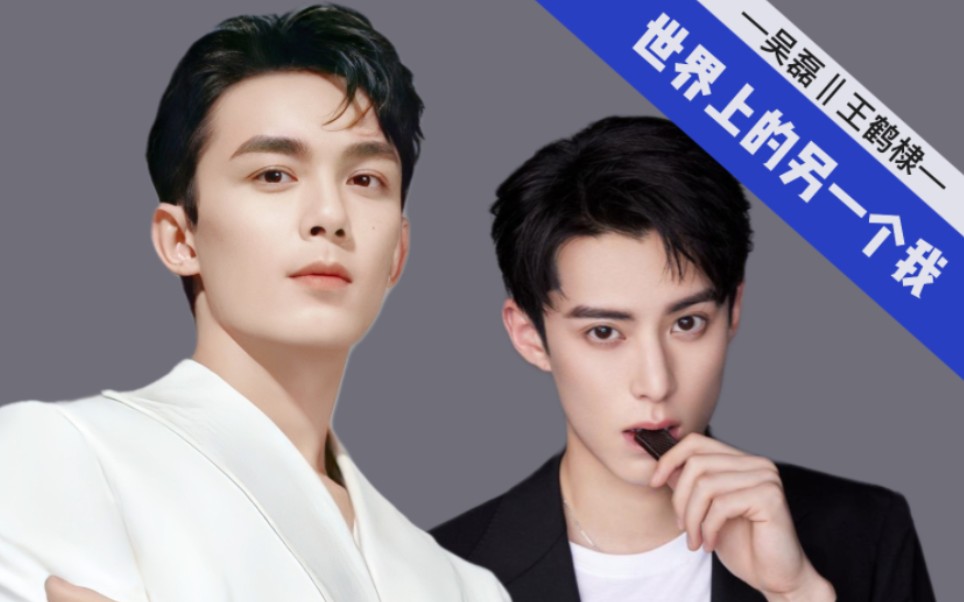 【吴磊72王鹤棣】世界上的另一个我