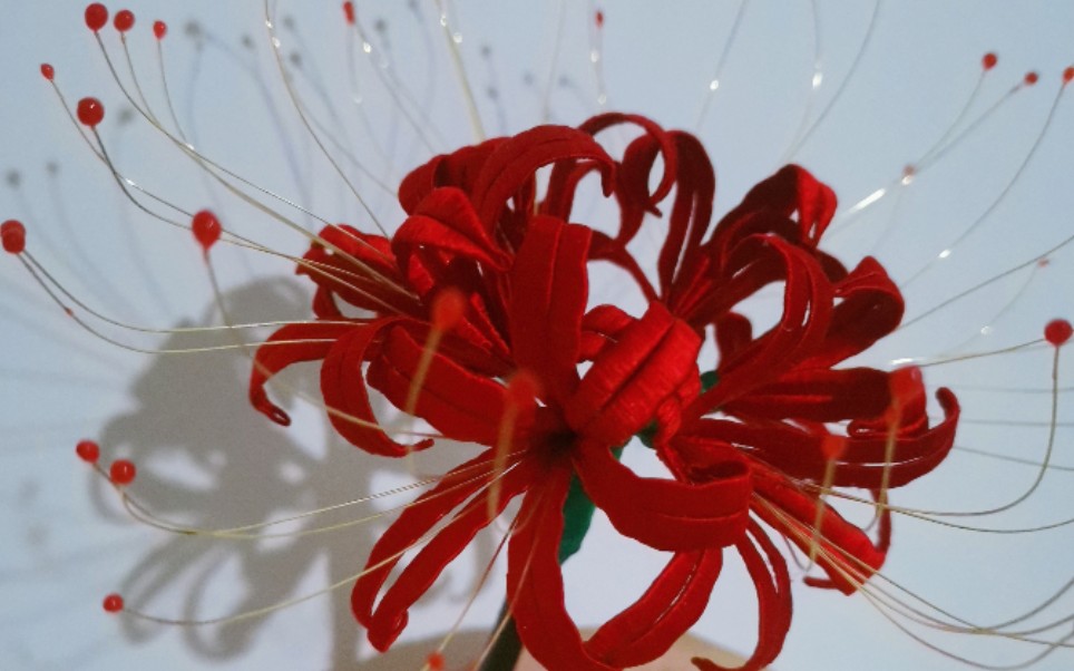 【缠花】彼岸花打卡啦