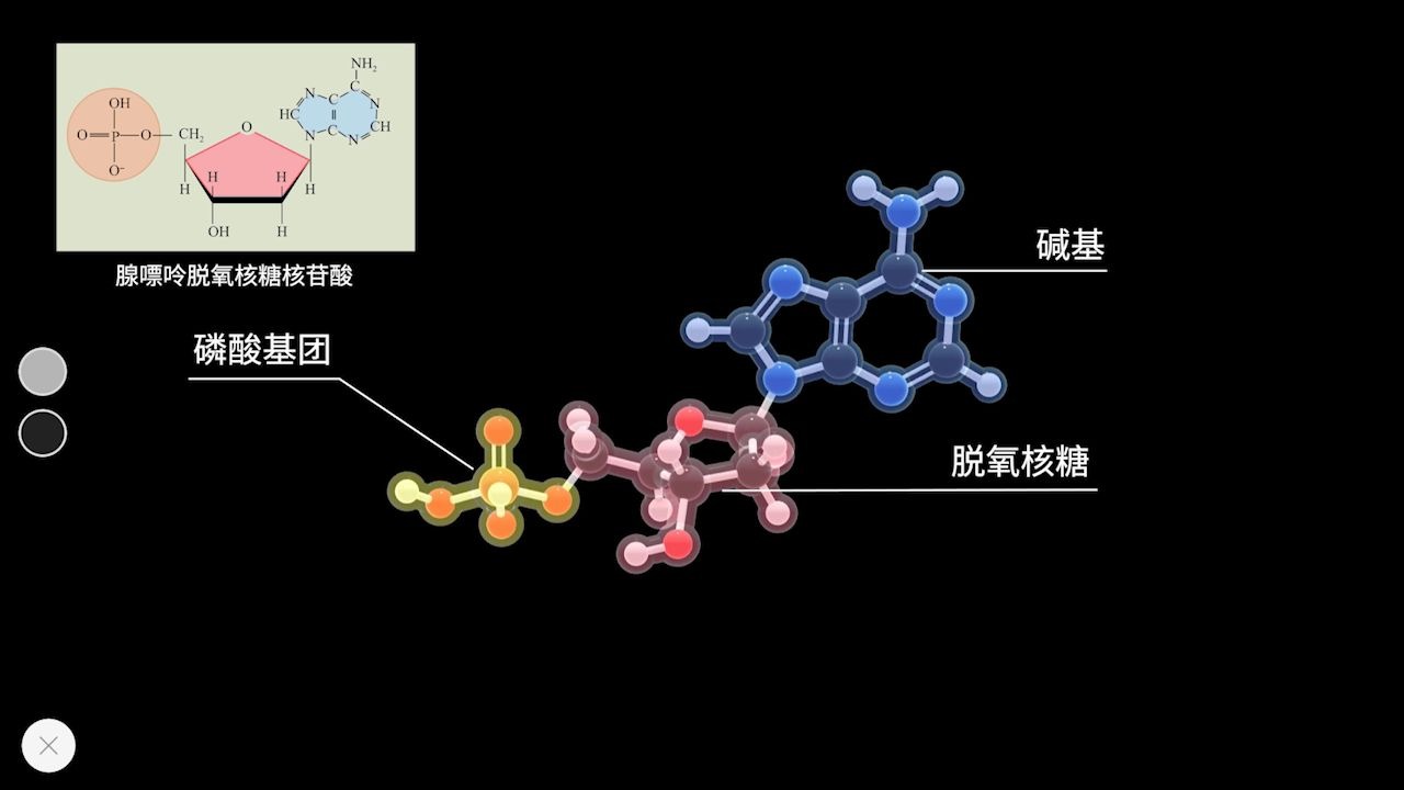 【生物】高一下 必修二 3.2—脱氧核糖核苷酸哔哩哔哩bilibili