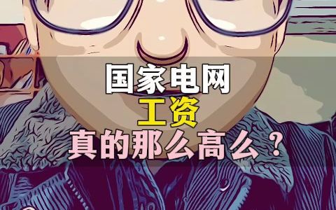 国家电网的工资真的那么高么?哔哩哔哩bilibili