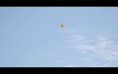 一只小黑灭的个人空间 哔哩哔哩 Bilibili