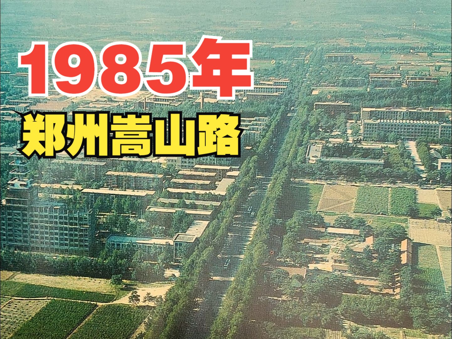 1985年 郑州嵩山路 那时候,绿城广场,还没有修建;粮院,向南没多远,就是农田!知道郑州粮院的,都是老郑州了!!哔哩哔哩bilibili