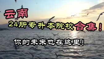 云南专升本大学合集——奋力一搏，无悔青春！