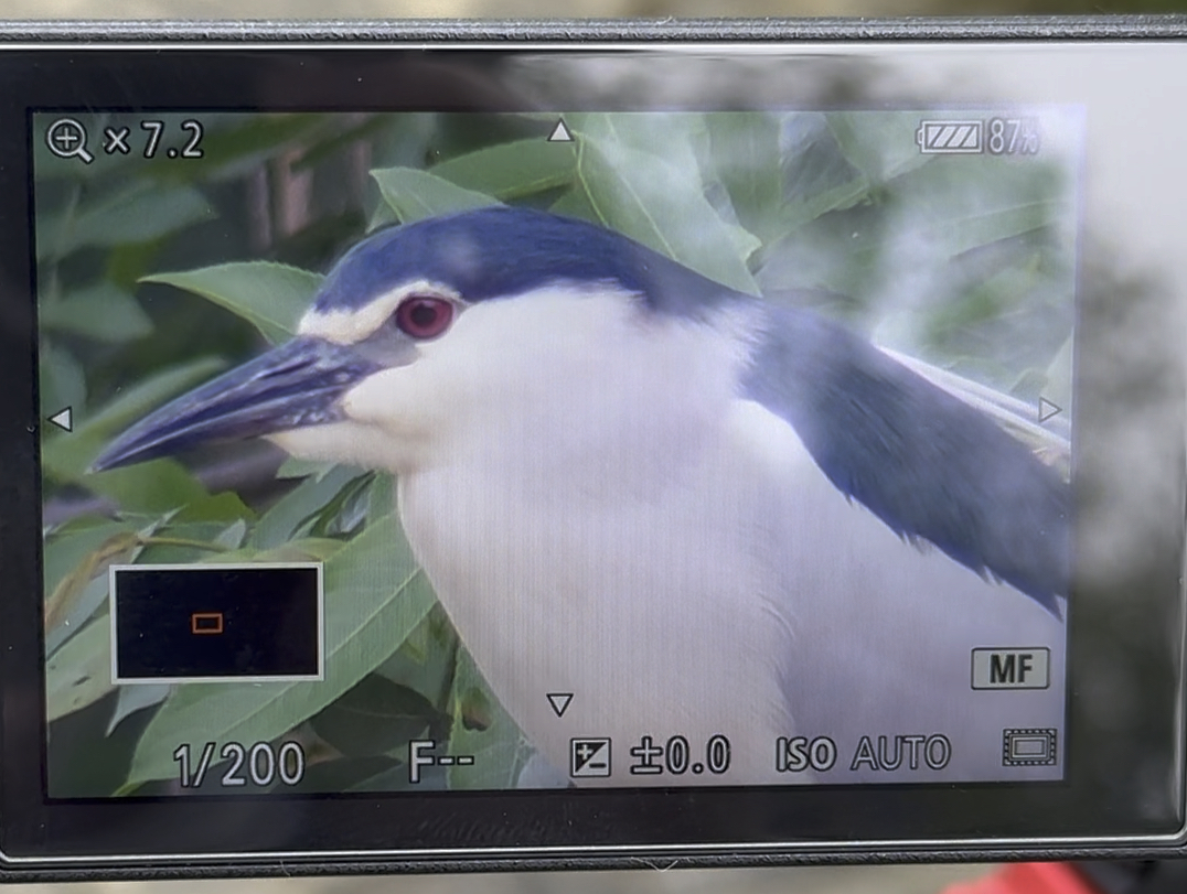 铭匠500mm定焦镜头实测!哔哩哔哩bilibili