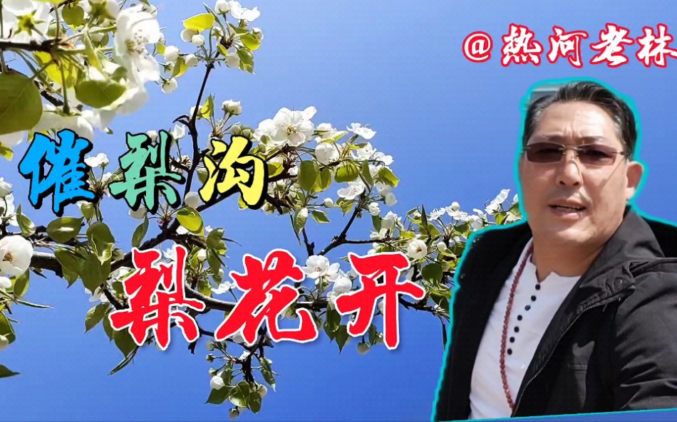 [图]《魅力承德》崔梨沟梨花盛开，赏花观景听歌，11