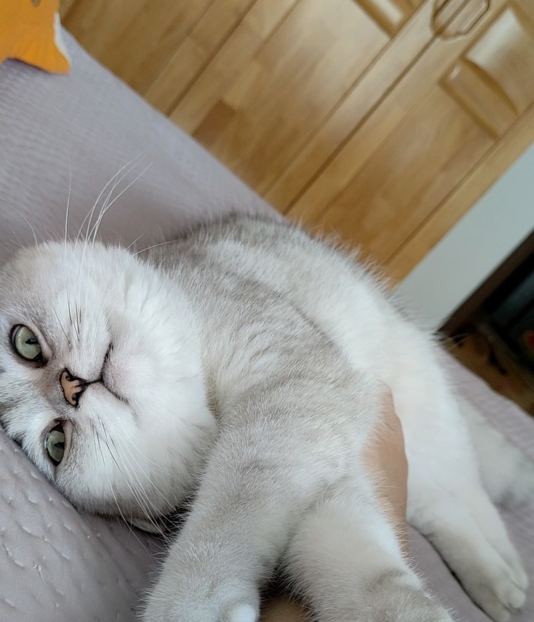 一起醒来的清晨