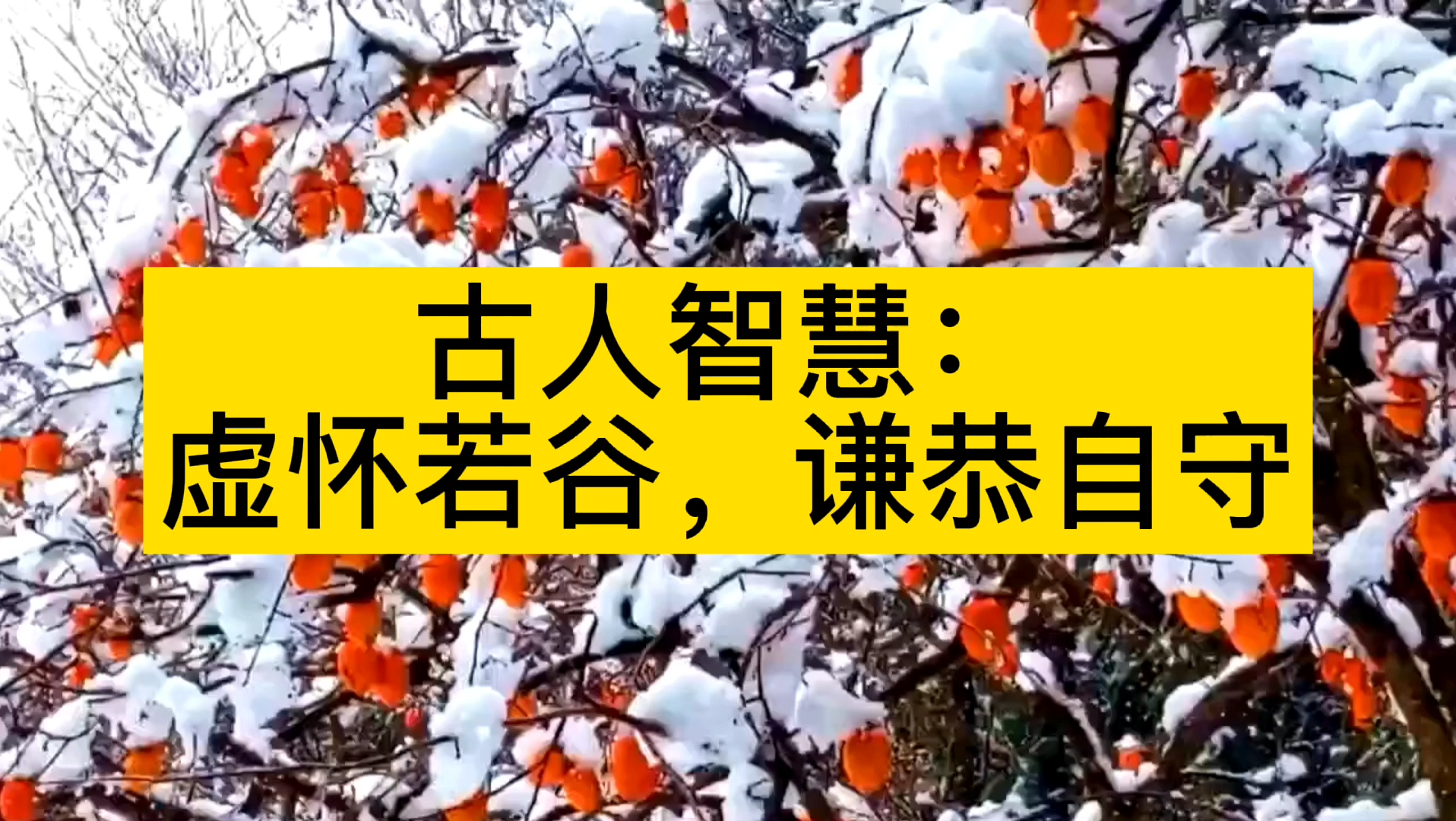 古人智慧:如何理解“虚怀若谷,谦恭自守”的人生哲理?哔哩哔哩bilibili