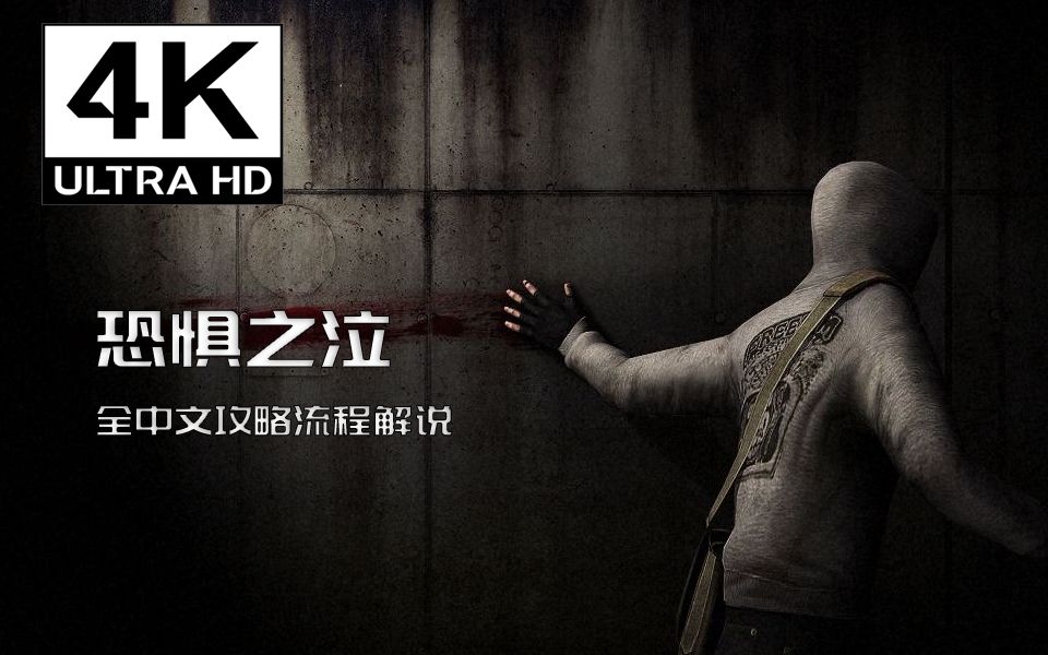 [图]【4K】【中文翻译】金源引擎巅峰作《恐惧之泣Cry Of Fear 》流程攻略解说（完结）