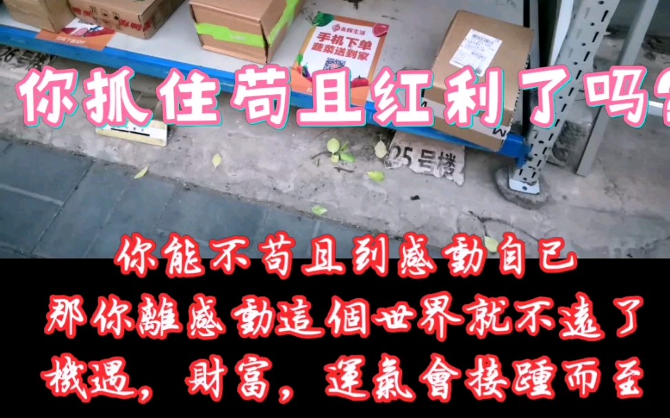 你抓住苟且红利了吗?