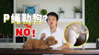 Download Video: 谁说p绳勒狗？真的别怪绳子，要怪就怪你自己！