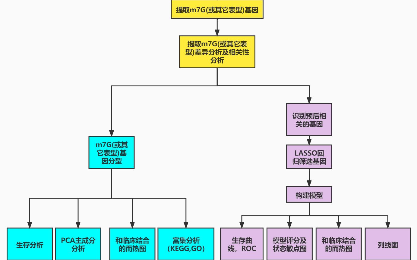 生信文章SCI新思路,Q1区5分思路,m7G RNA调控因子在肿瘤中的表达和预后价值,m7G新热点,同时可做m5C,代谢,脂肪酸代谢,氧化应激,焦亡坏死...