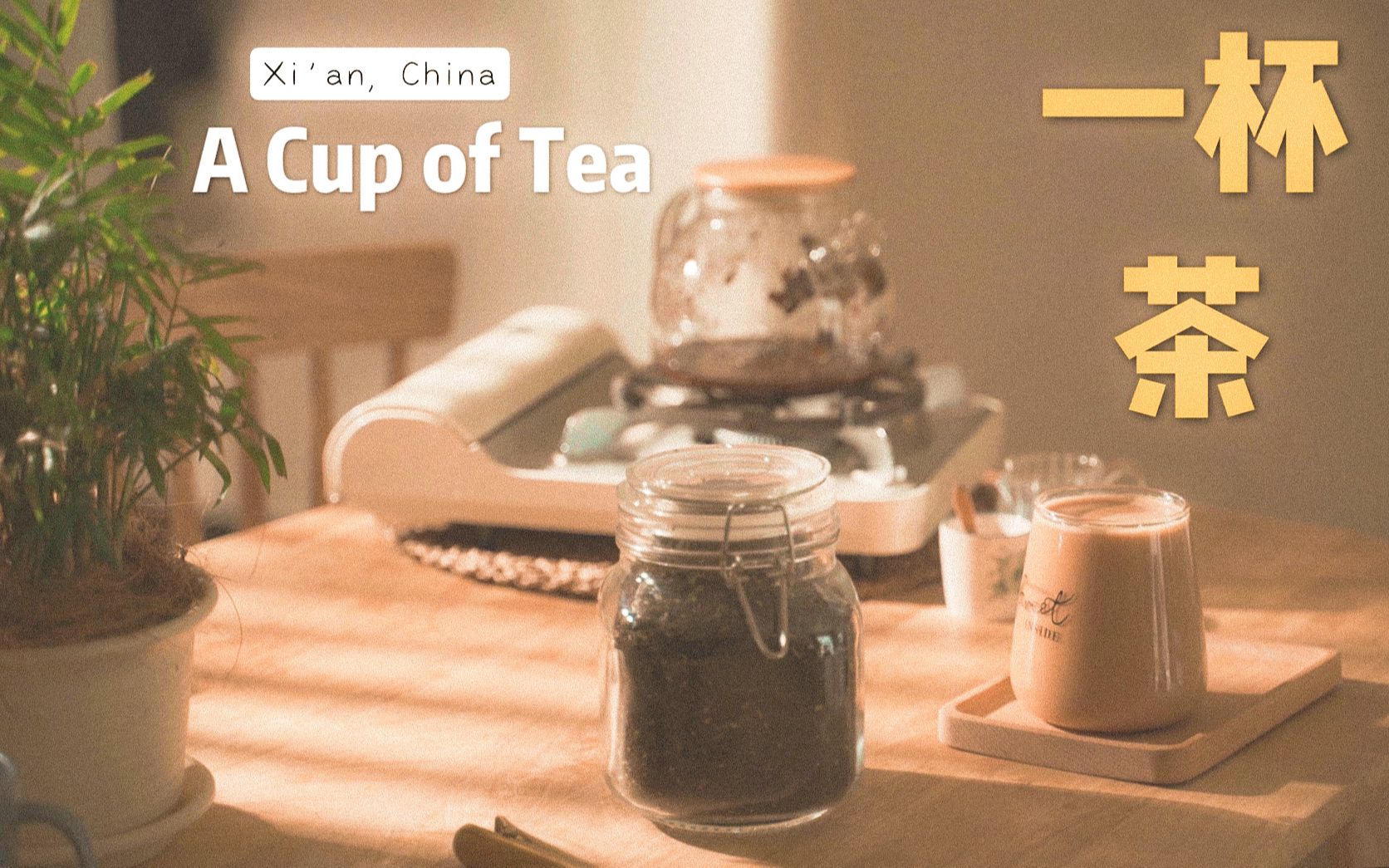 一杯茶 | A Cup of Tea哔哩哔哩bilibili