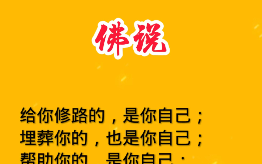 佛说 给你修路的是你自己  智慧人生  每日金句  生活感悟