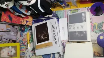 博肖同人本《听候发落》开箱视频