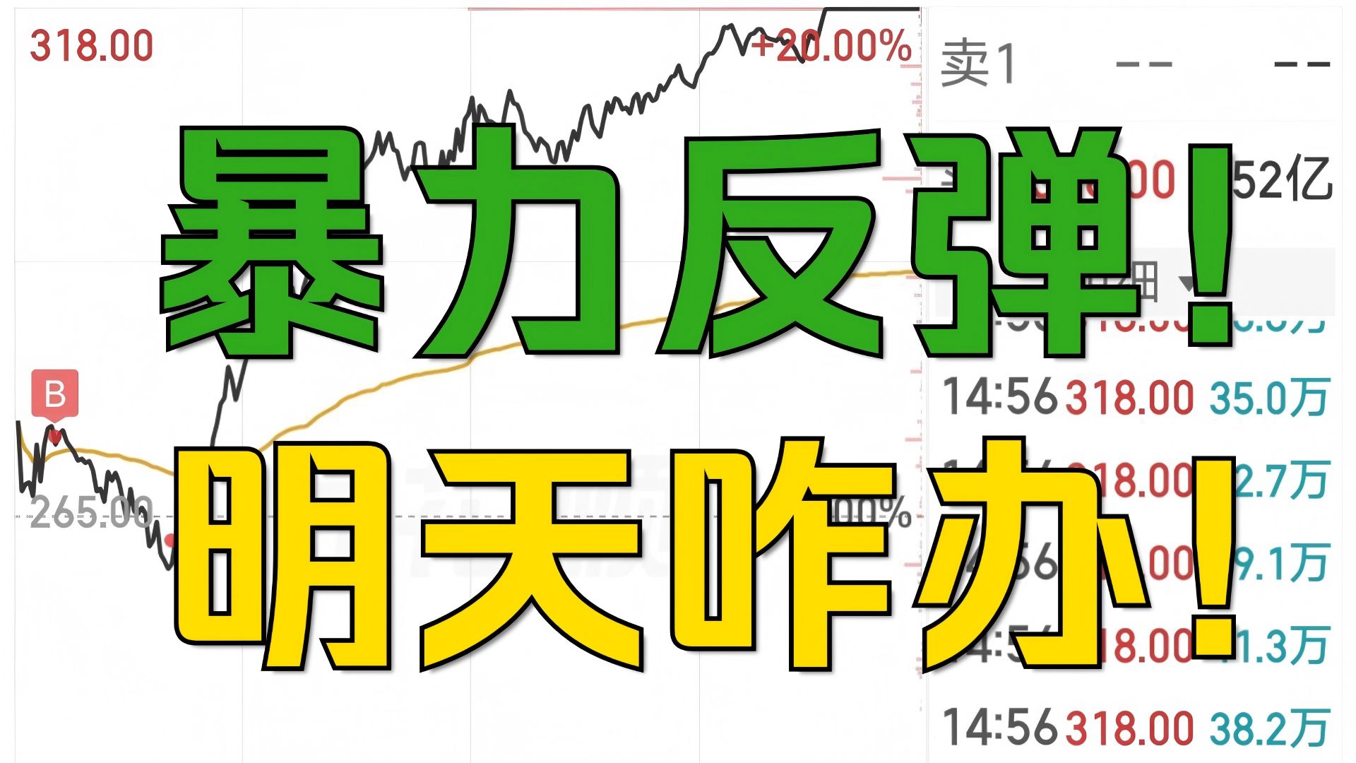 明天怎么办！抄底？还是砸盘？队长护盘！6000亿增量资金进场！小散终于回口血！明天能留住盈利吗？