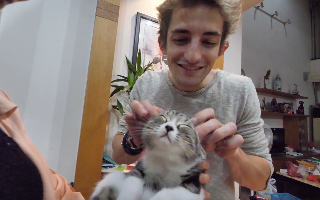 钢蛋情迷中国背后的原因是.