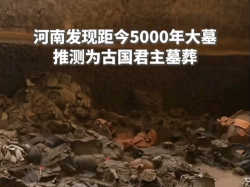 彩,河南永城再现5000年古国君主大墓,正在抢救性发掘哔哩哔哩bilibili