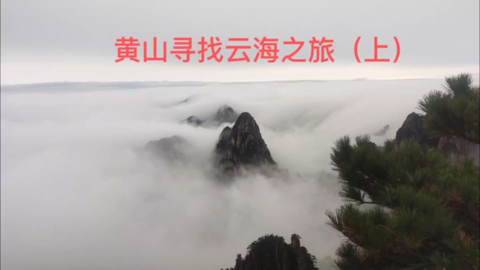 [图]小伙第三次上黄山，从北门上得以避开人从众，终于看到黄山云海。