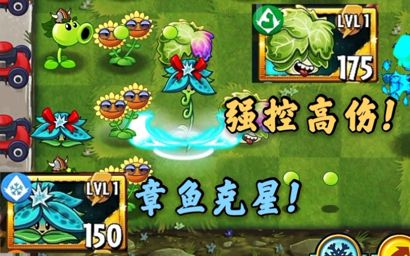 【pvz2】8.5.1新植物“一品红&牛油莴苣”试玩!哔哩哔哩bilibili