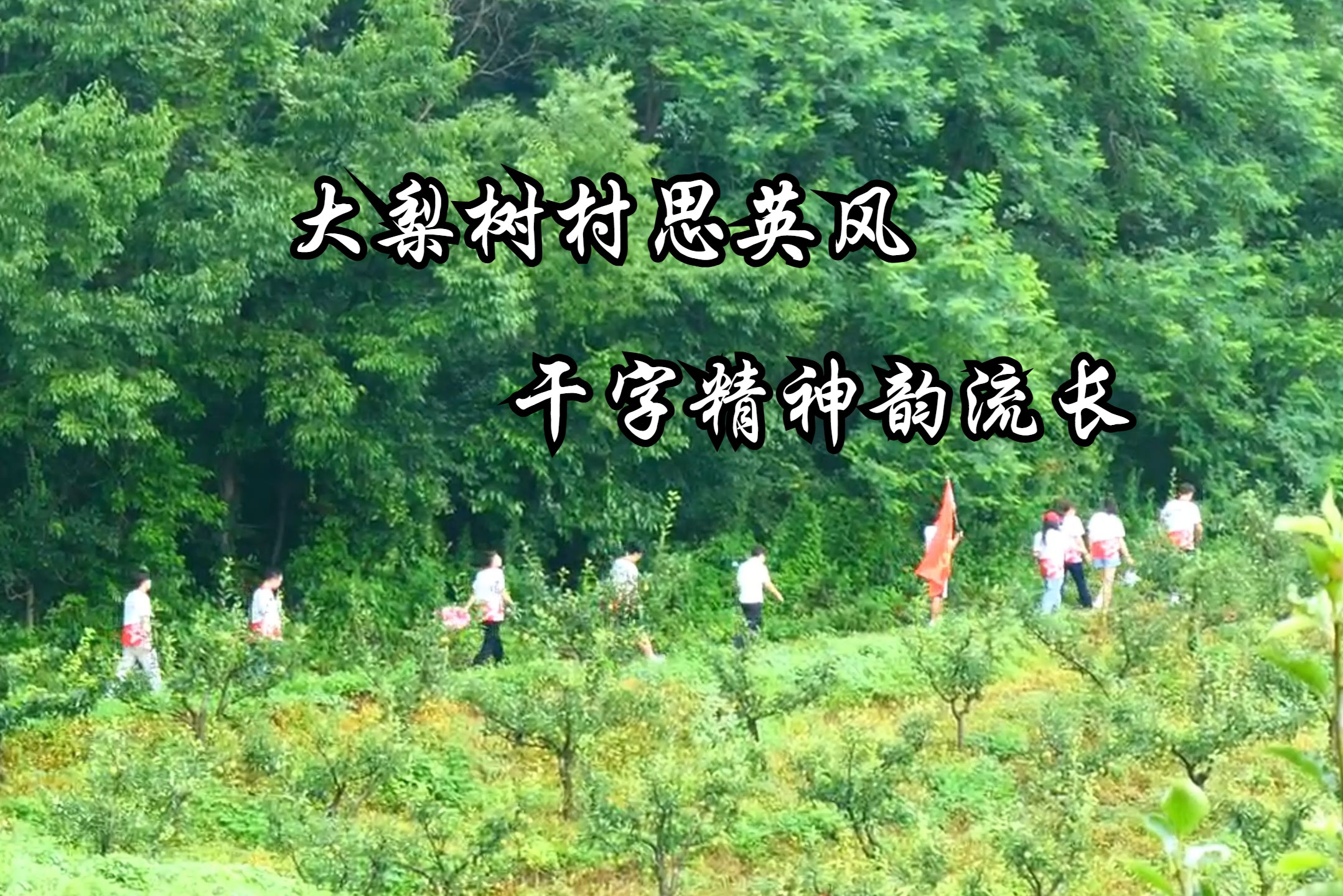 大梨树村思英风,干字精神韵流长