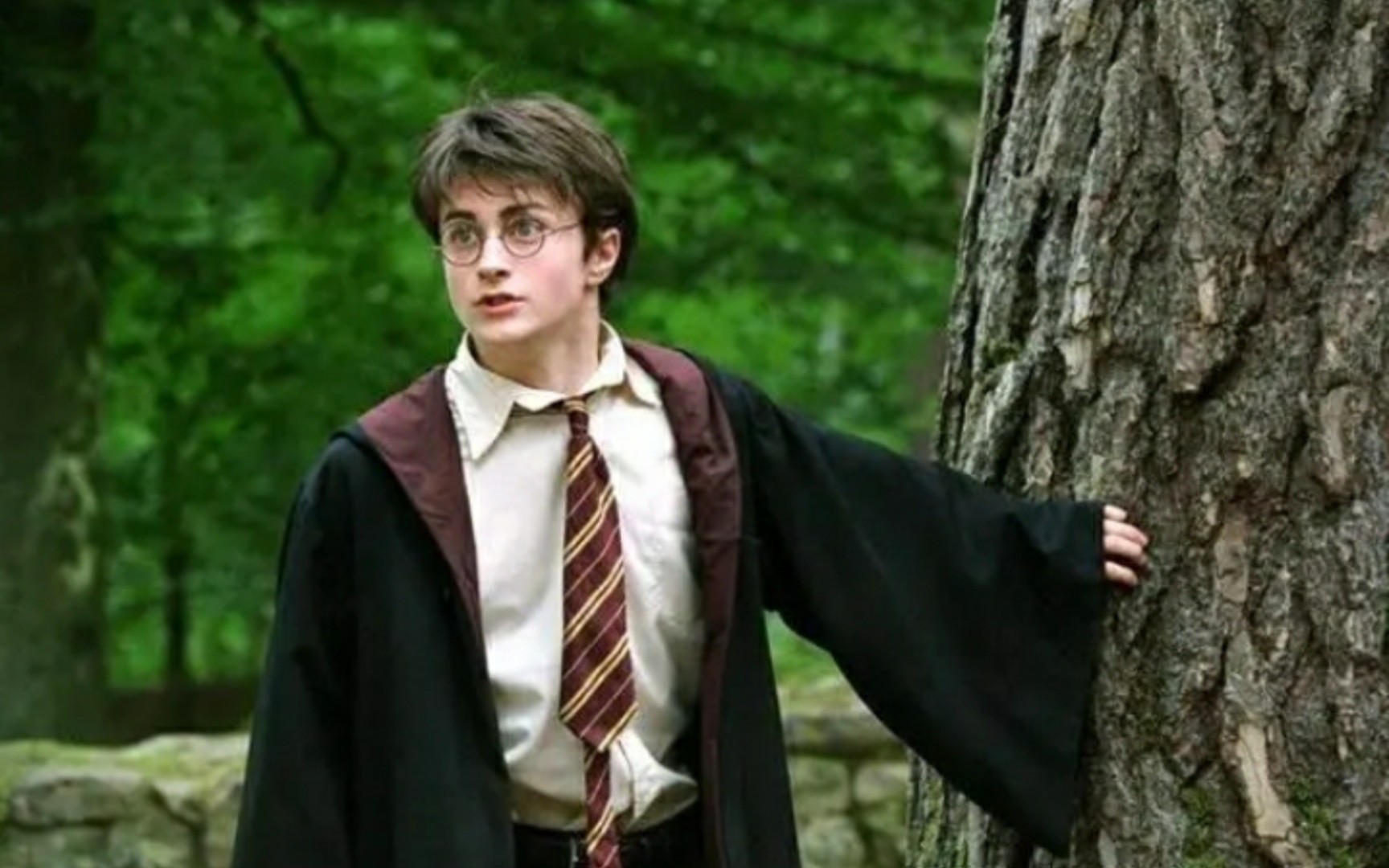 生日快乐,波特先生!_哔哩哔哩_bilibili