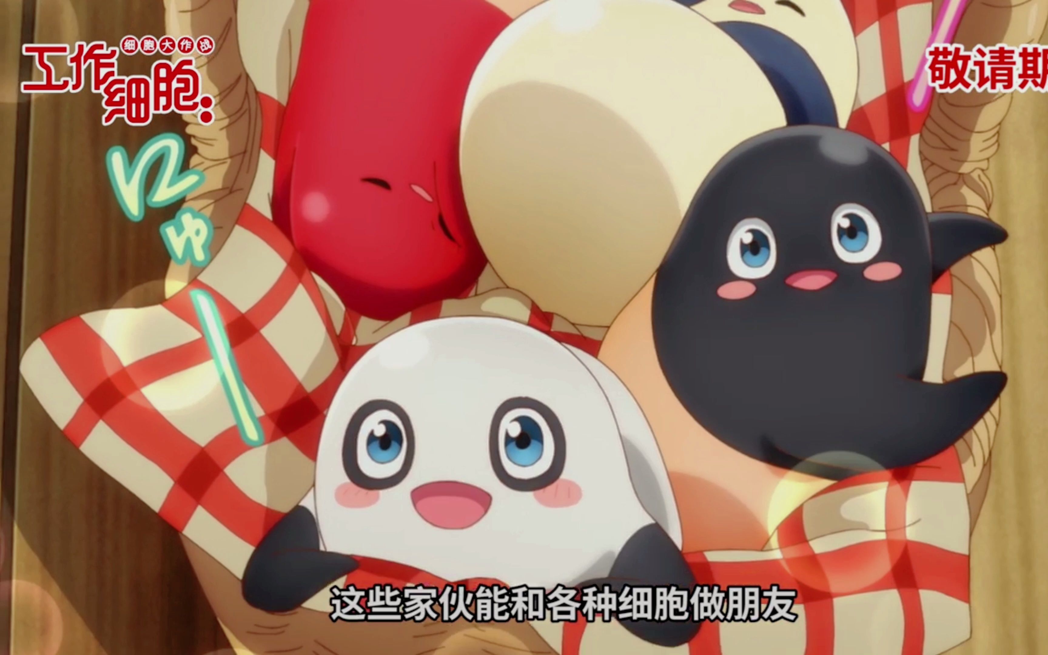 【细胞大作战】高萌身体细胞开启大冒险,热血治愈身体,上演身体保卫战