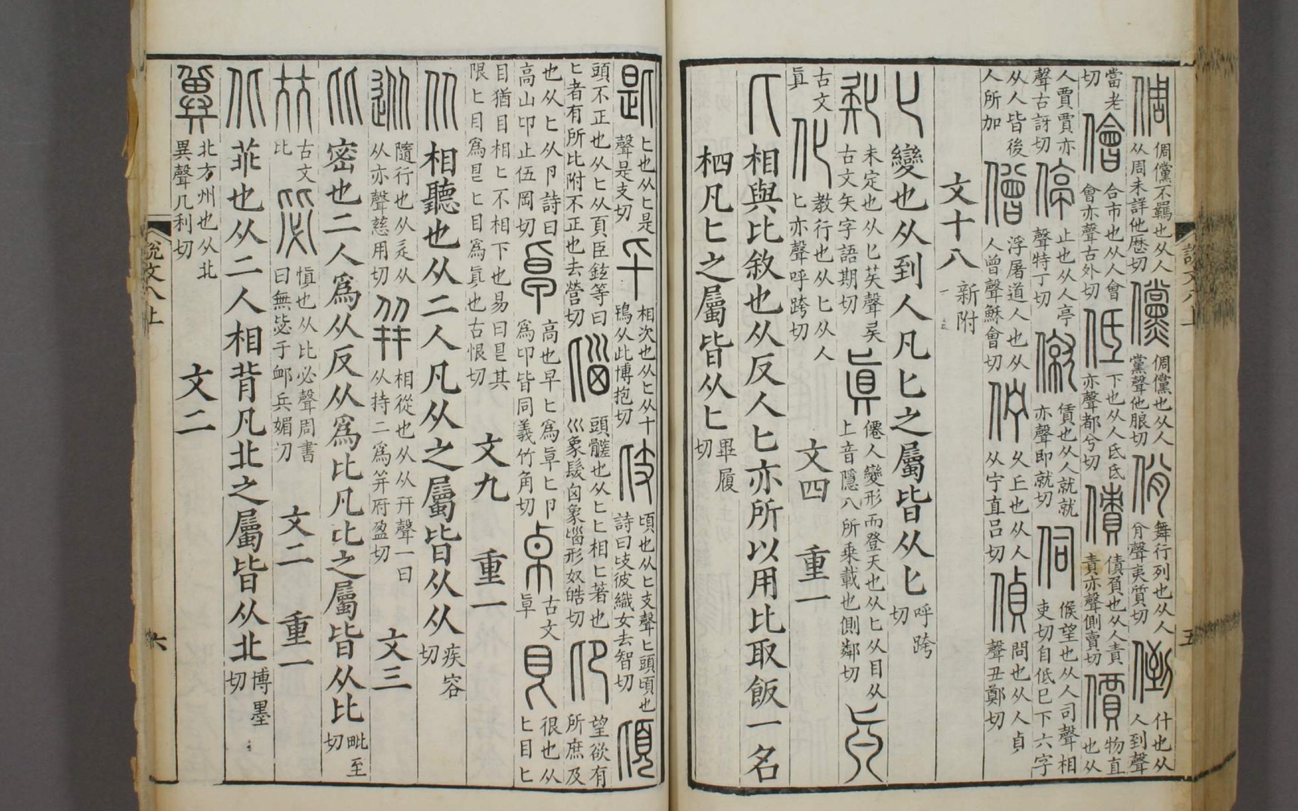 “反从为比”:解读《说文解字》部首 291——比哔哩哔哩bilibili