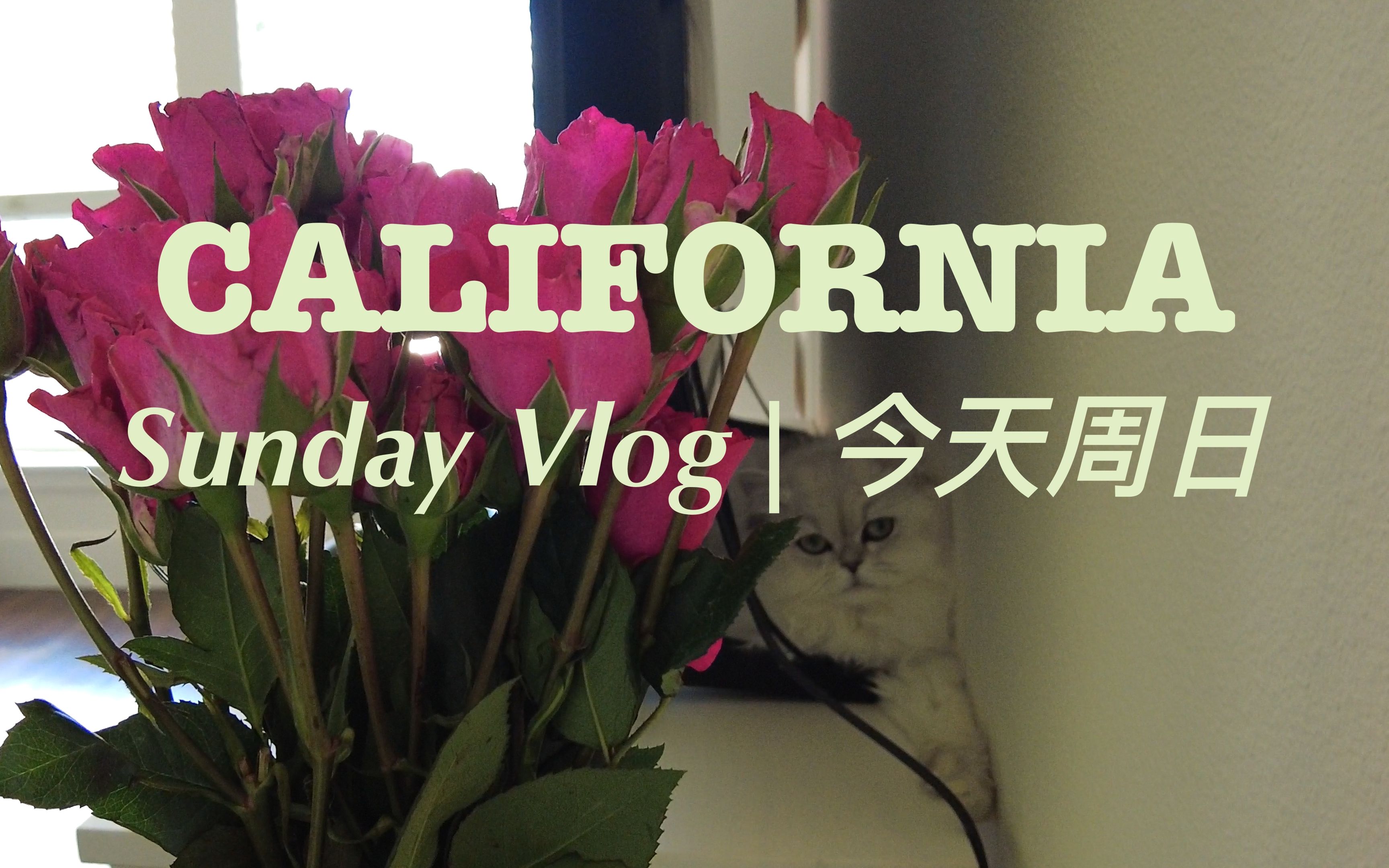 vlog | 今天周日 | a sunday in california