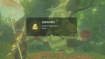 【塞尔达传说】900个呀哈哈换来的神秘礼物