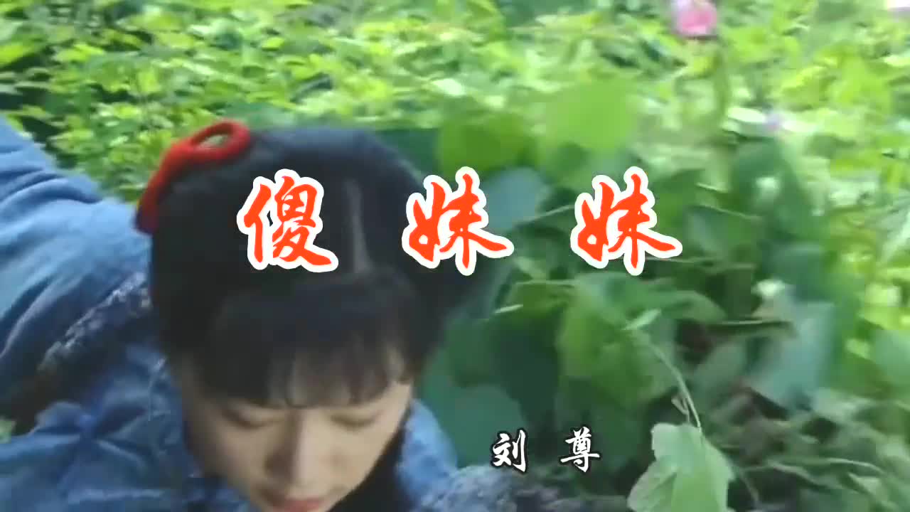 经典情歌《傻妹妹》粗犷豪放歌声太好听了,唱尽了7080后纯真爱情
