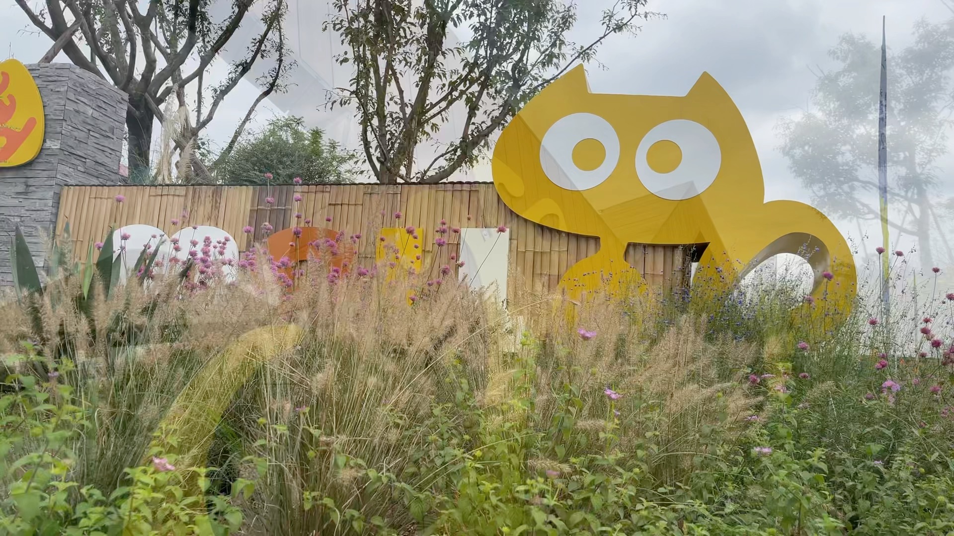 成都 #萌宠乐园