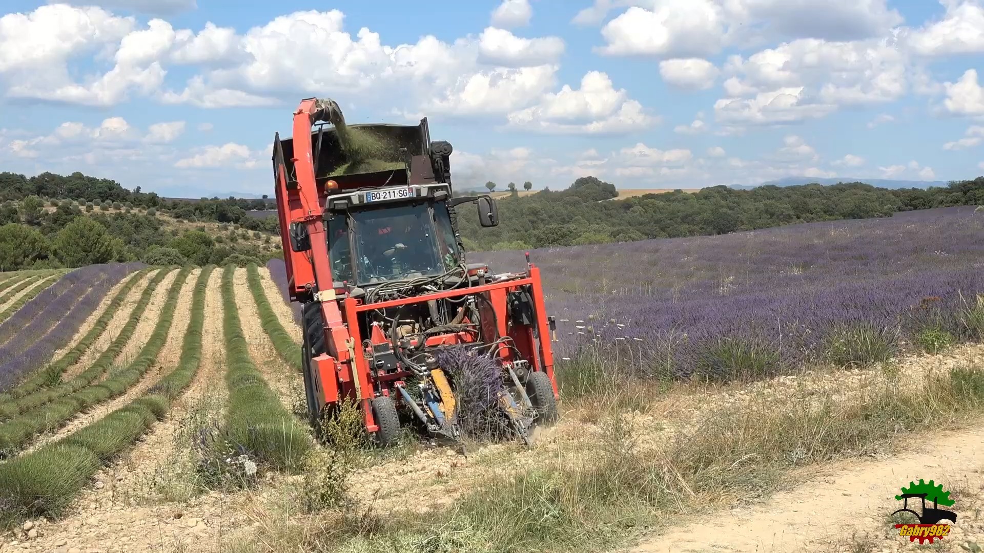 TOP  Massey Ferguson 3050  Lavanda 2024  𐟇밟‡𗠆T24哔哩哔哩bilibili