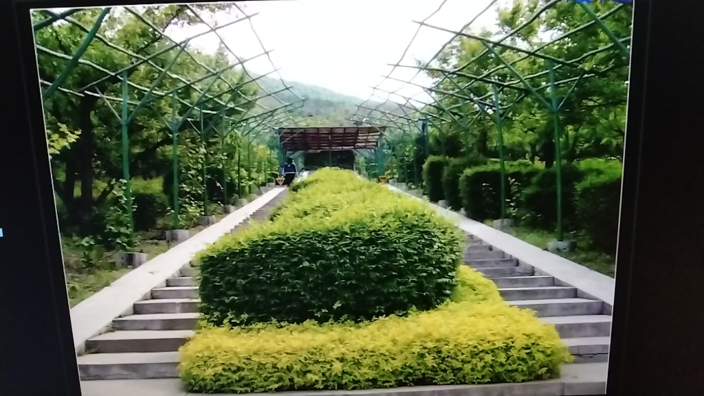 本溪动物园20090612