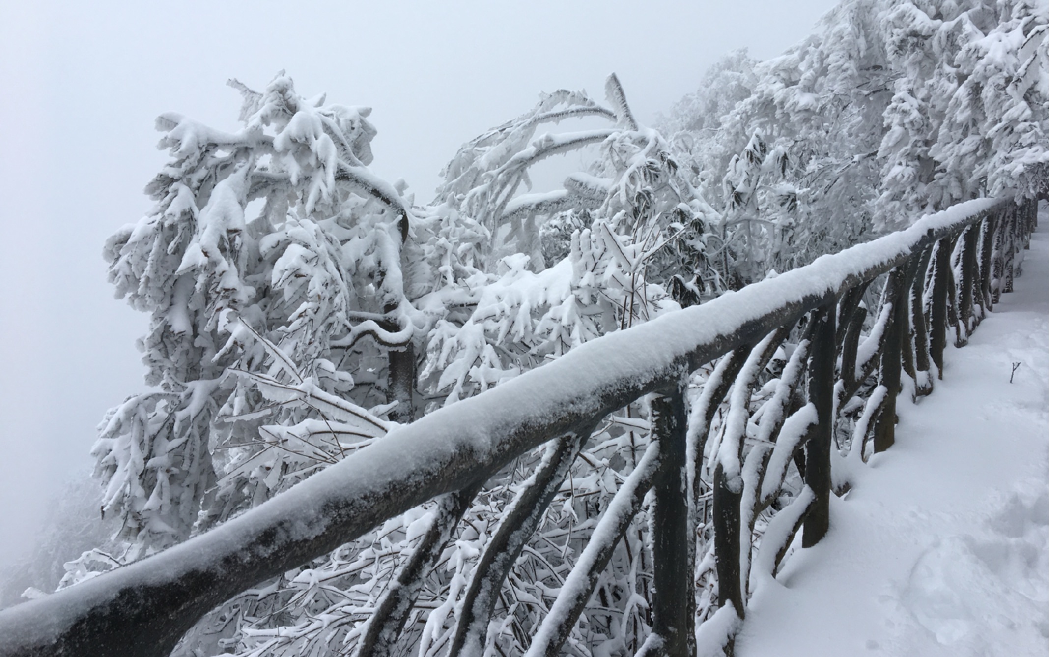 「看雪去啦」 踩在天门上厚厚的积雪上 嘎吱嘎吱～一边踩一边发出wo