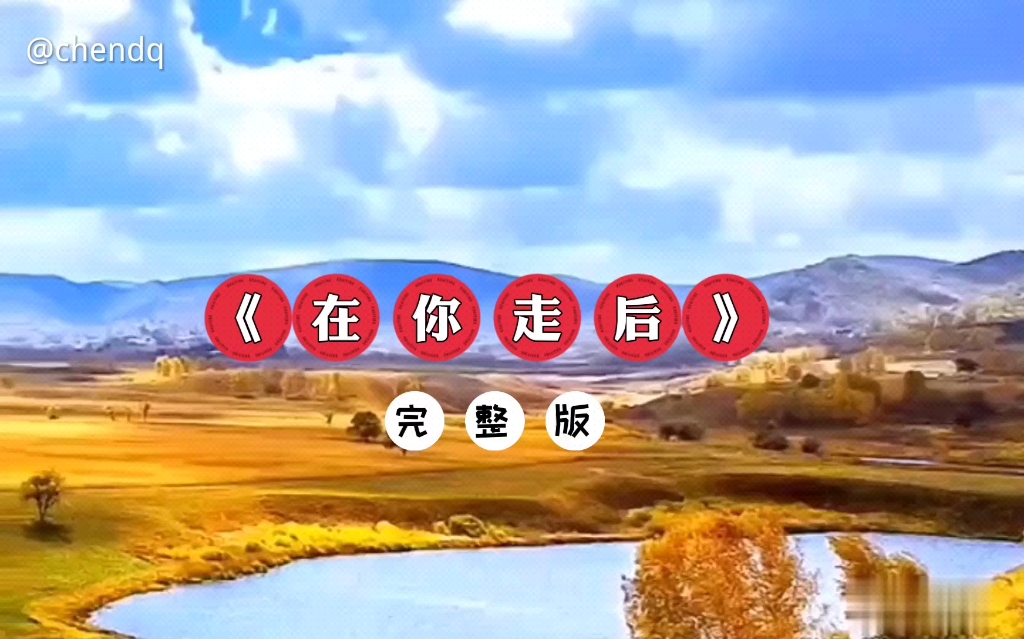 [图]《在你走后》完整版