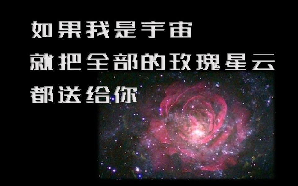 [图]【推文】星际文\哭包攻\养成系\科学家受【猫咪的玫瑰】小蘑菇同作者【一十四洲】