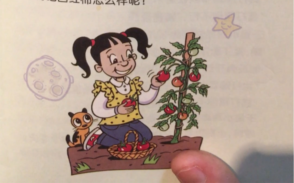 种西红柿 英语朗读76 Grow Tomatoes in Six Steps哔哩哔哩bilibili