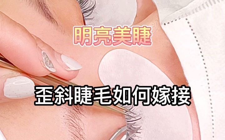 缠绕式嫁接方法!!!哔哩哔哩bilibili