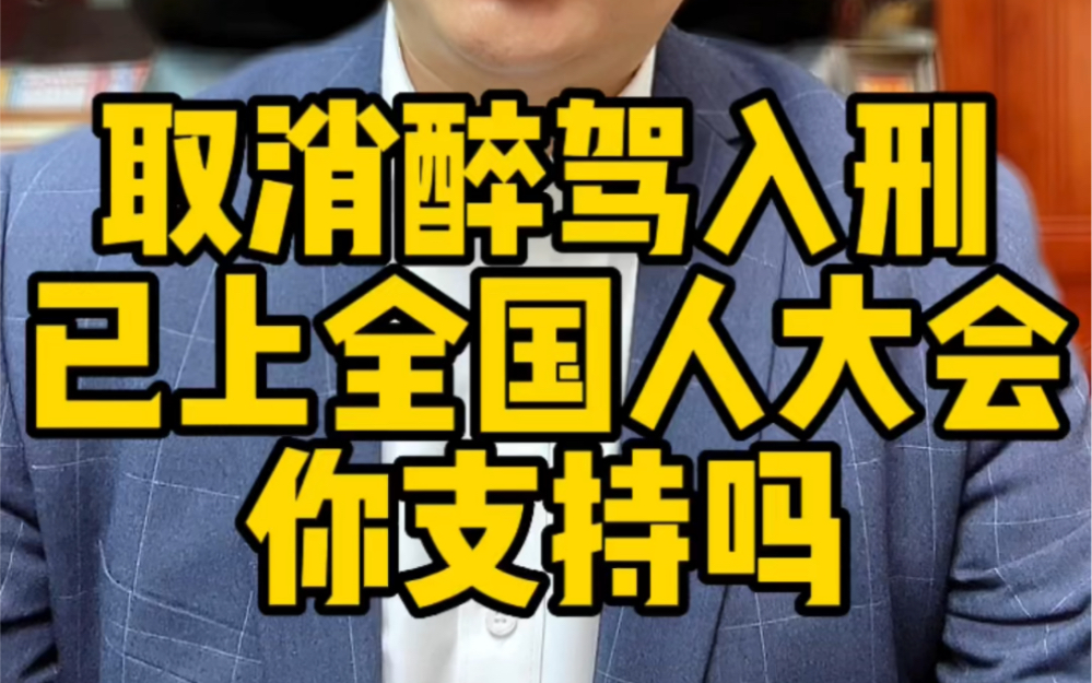 取消醉驾入刑 已上全国人大会讨论 你会支持吗 案底对子女影响太过重大哔哩哔哩bilibili