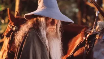 “不要停止发声，直到实现永久性停火！”