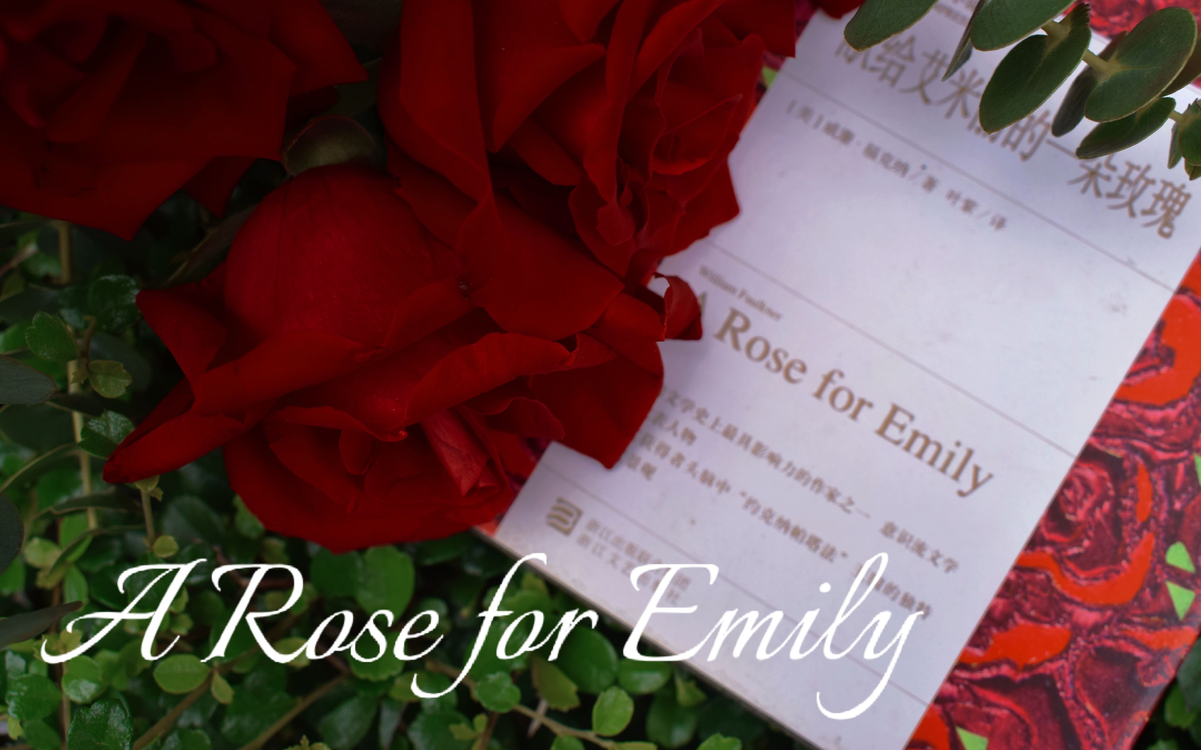 【自制微电影/惊悚慎入】A Rose for Emily 献给艾米莉的一朵玫瑰哔哩哔哩bilibili