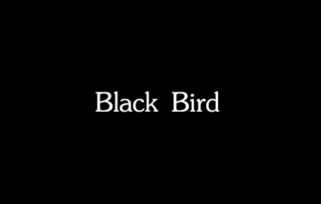 [图]Black Bird / ぼくのりりっくのぼうよみ