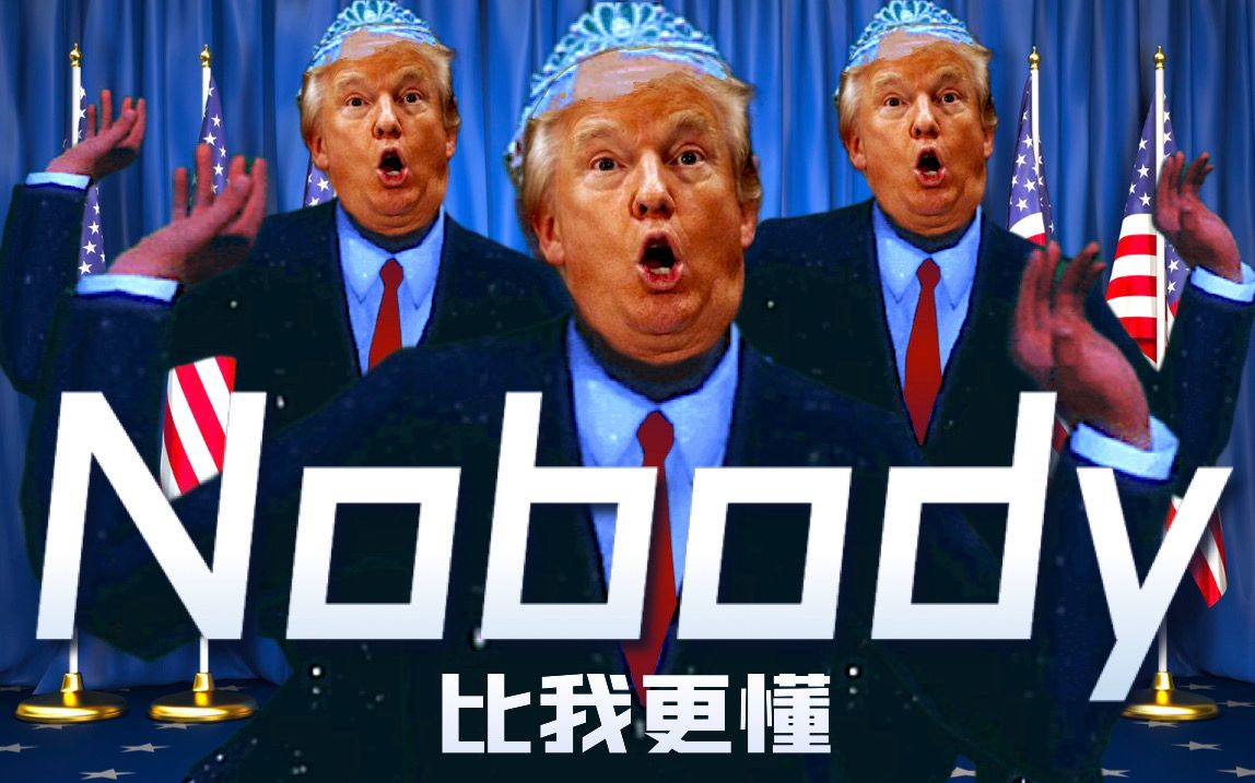 [图]【川普】Nobody（比我更懂）