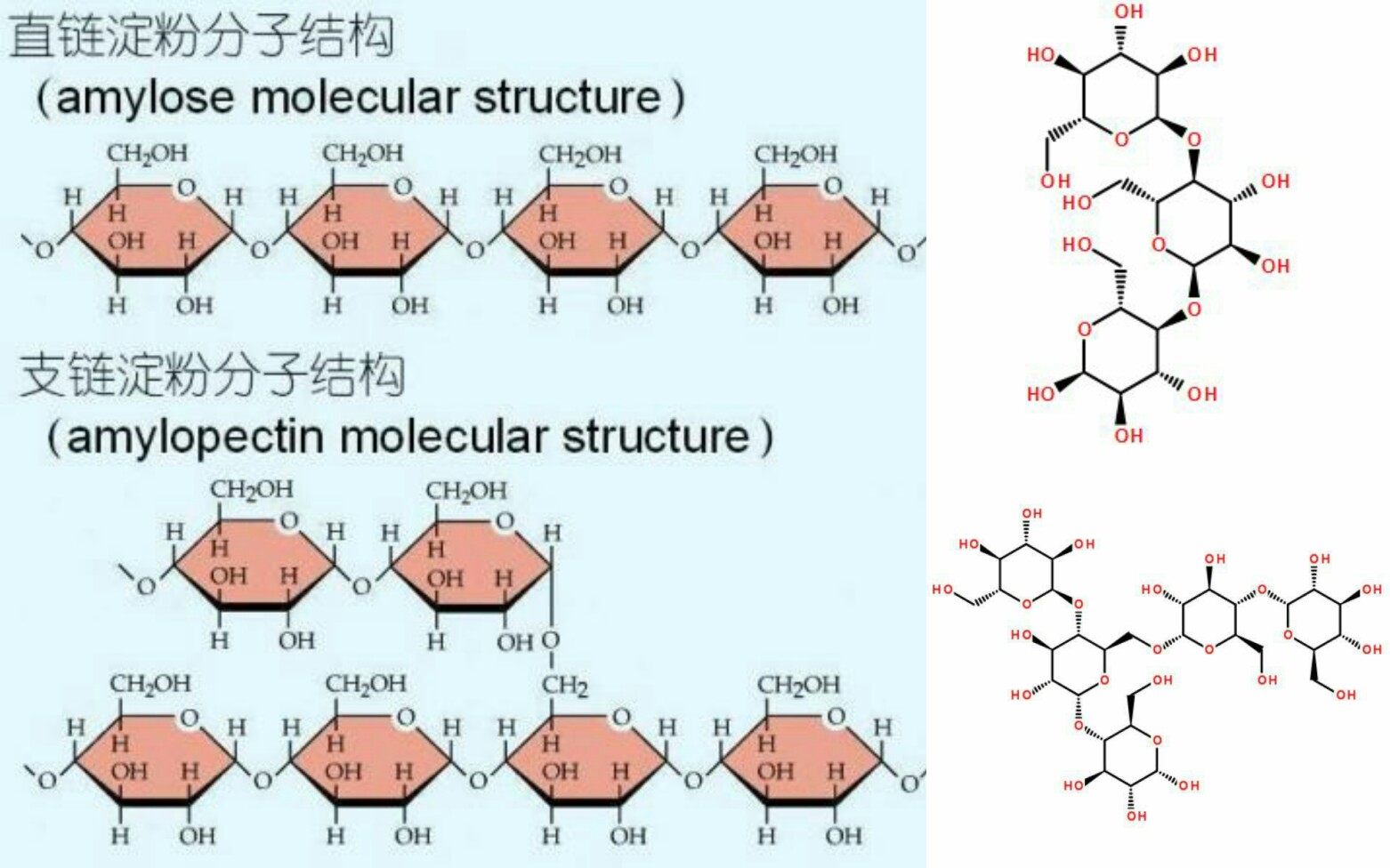 【化学&生物实验】淀粉在酸性条件下水解(定性探究)哔哩哔哩bilibili