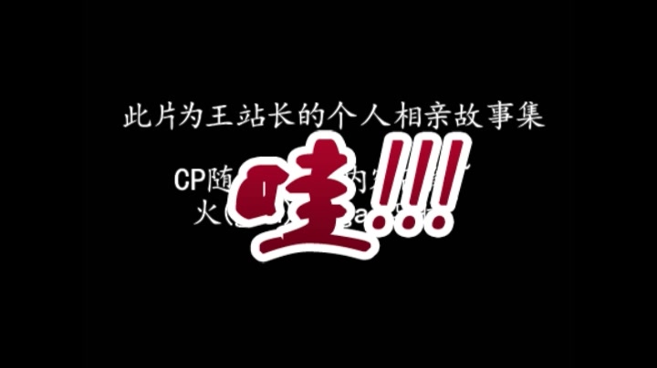 【王蒲忱】王站长de相亲大合集/CP乱炖/高能[北平无战事]王劲松哔哩哔哩bilibili