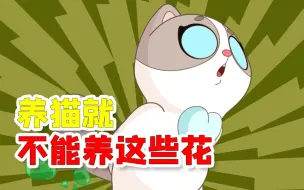 家里养猫要注意，这些花对猫咪都有危害哦