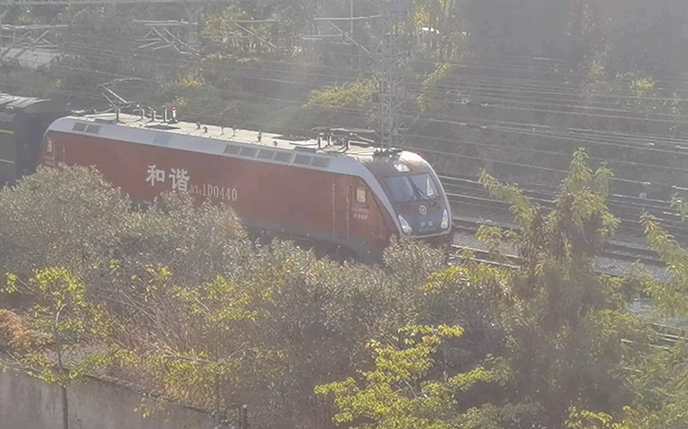 震惊,12306上居然查不到这车车次哔哩哔哩bilibili