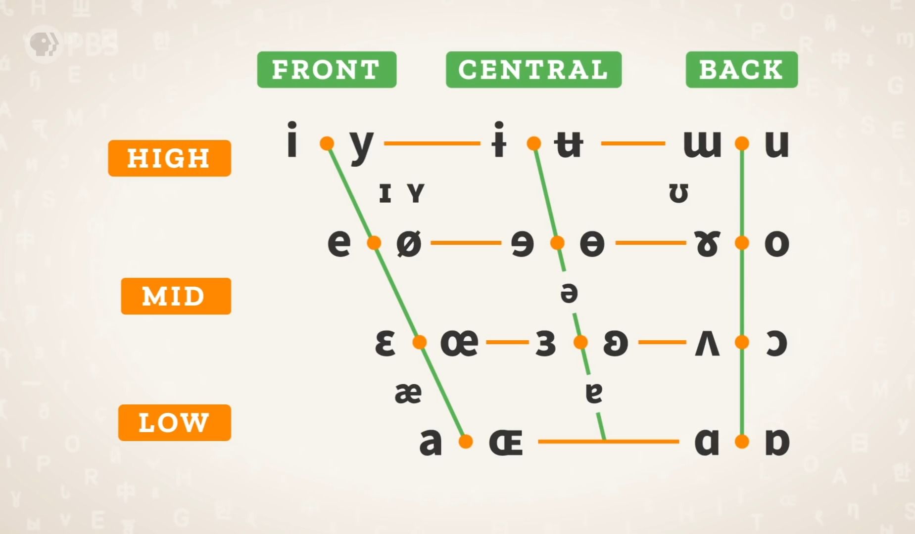 [图]【中英】英语语言学速成 Phonetics - Vowels：Linguistics #9