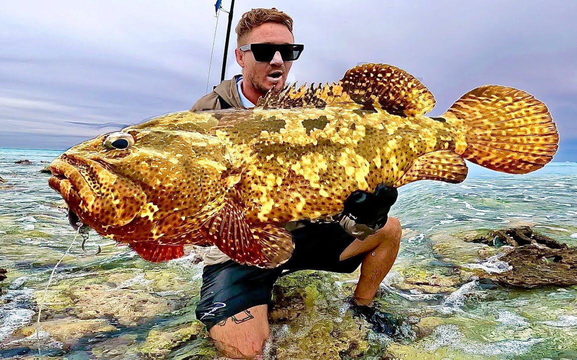大师级海钓高手,一杆下去钓上来50多斤巨型石斑鱼,谁看谁眼馋!