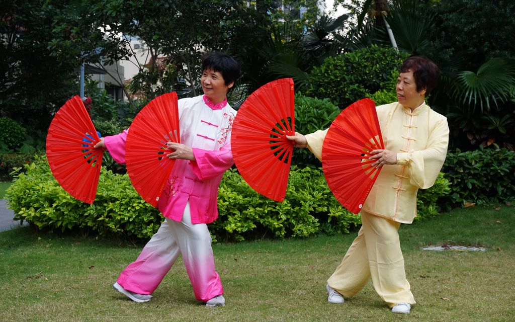 李德印太极莲花扇图片